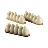 Moule Silicone Miami + Emporte-pièce 11.8 cm "PX4360" (x14) - Pavoni